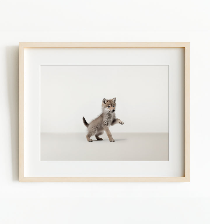 Studio Wolf Art Print