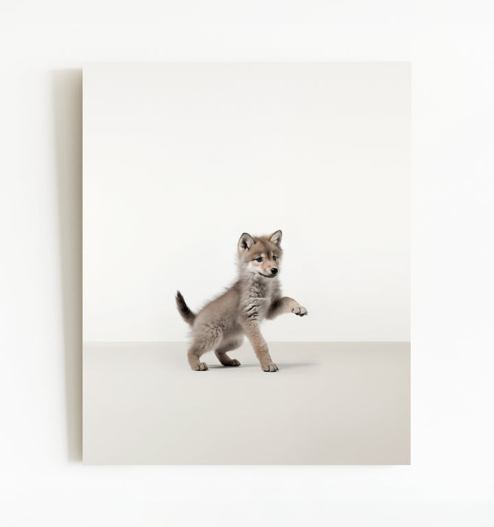 Studio Wolf Art Print