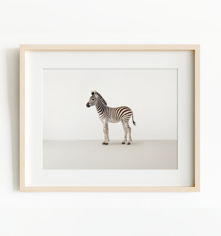 Studio Zebra Art Print