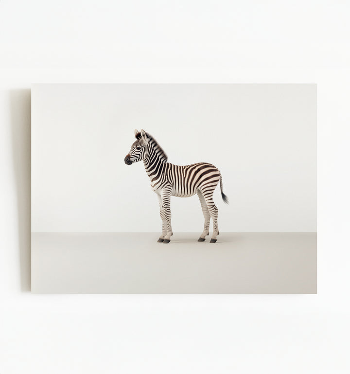 Studio Zebra Art Print