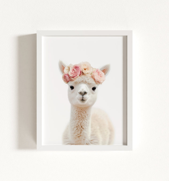 Baby Alpaca Framed Art