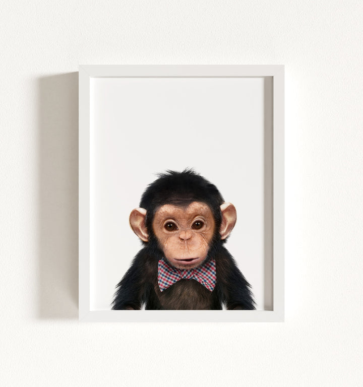 Baby Chimpanzee Framed Art