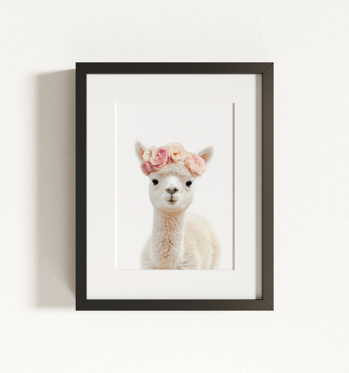 Baby Alpaca Framed Art