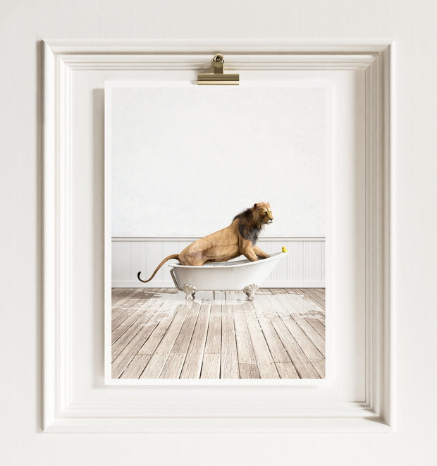 Lion in White Bathtub