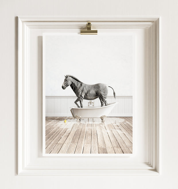 Zebra in White Bathtub