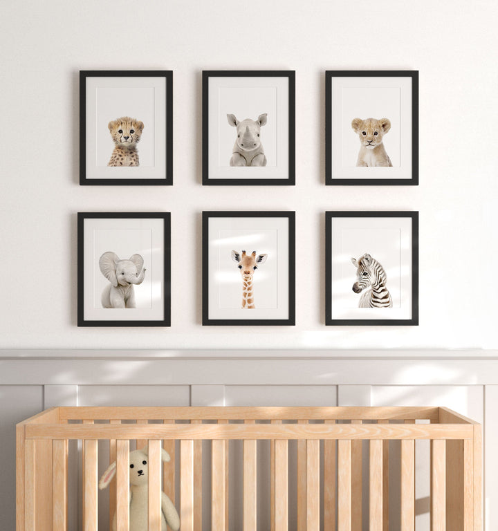 Framed Baby Safari Animals Nursery Decor - African Animals Set of 6