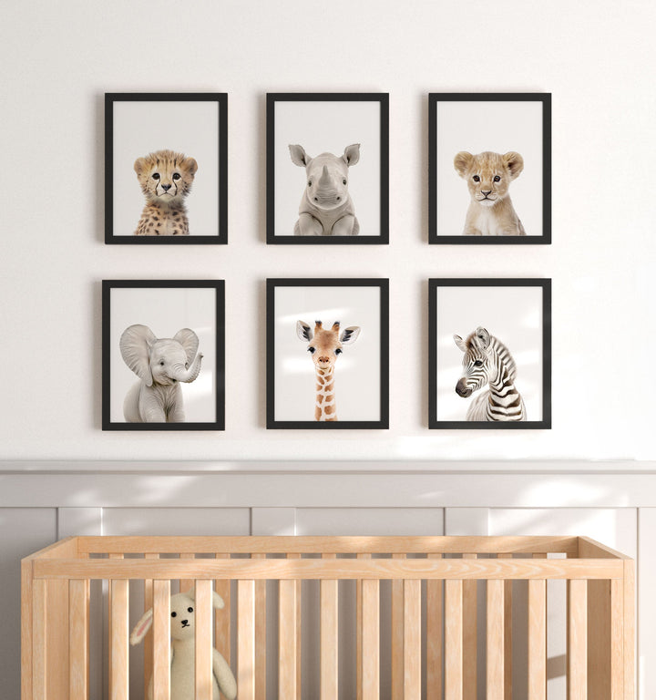 Framed Baby Safari Animals Nursery Decor - African Animals Set of 6