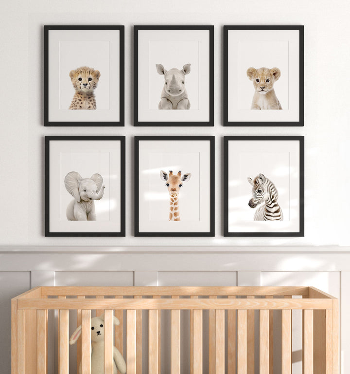 Framed Baby Safari Animals Nursery Decor - African Animals Set of 6