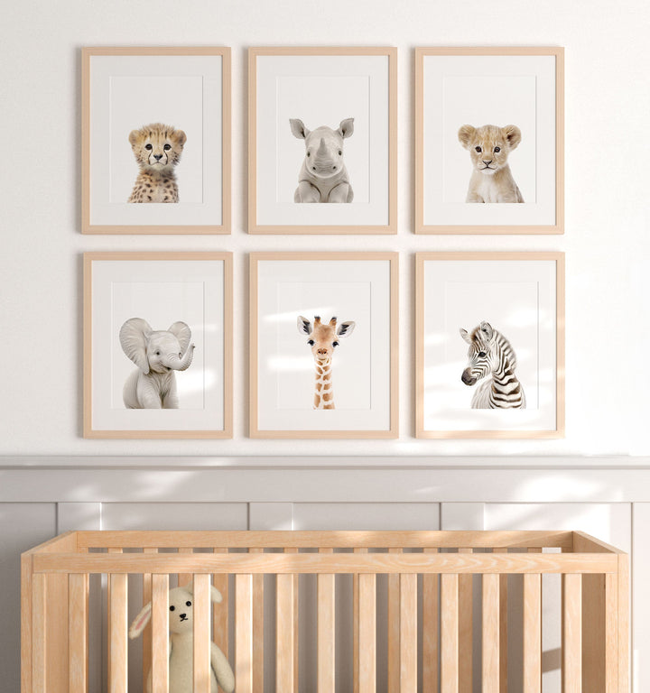Framed Baby Safari Animals Nursery Decor - African Animals Set of 6