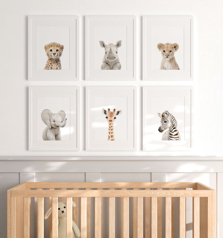 Framed Baby Safari Animals Nursery Decor - African Animals Set of 6