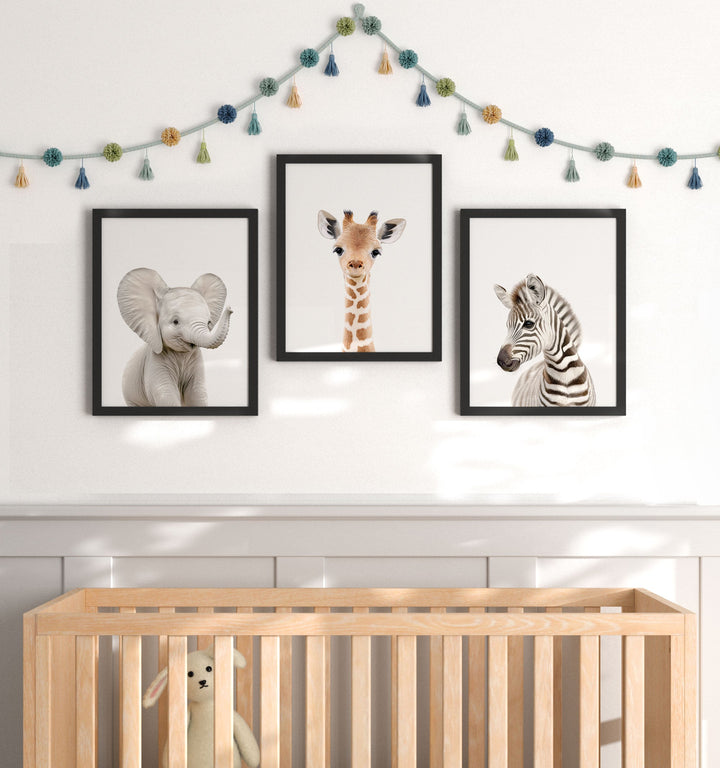 Framed Baby Safari Animals Set of 3 Nursery Art