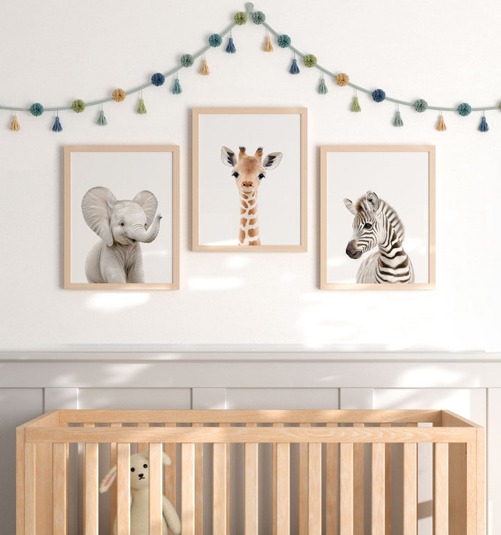 Framed Baby Safari Animals Set of 3 Nursery Art