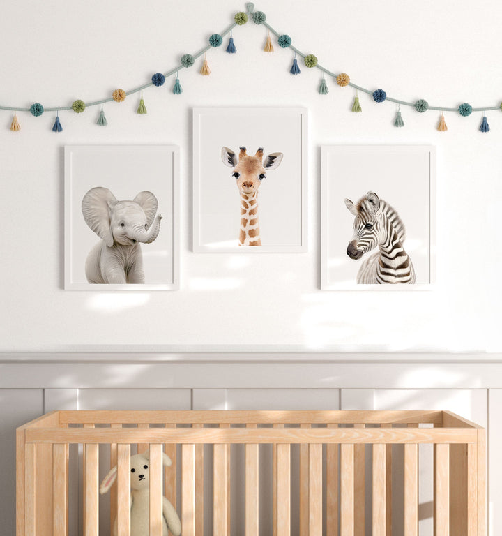 Framed Baby Safari Animals Set of 3 Nursery Art