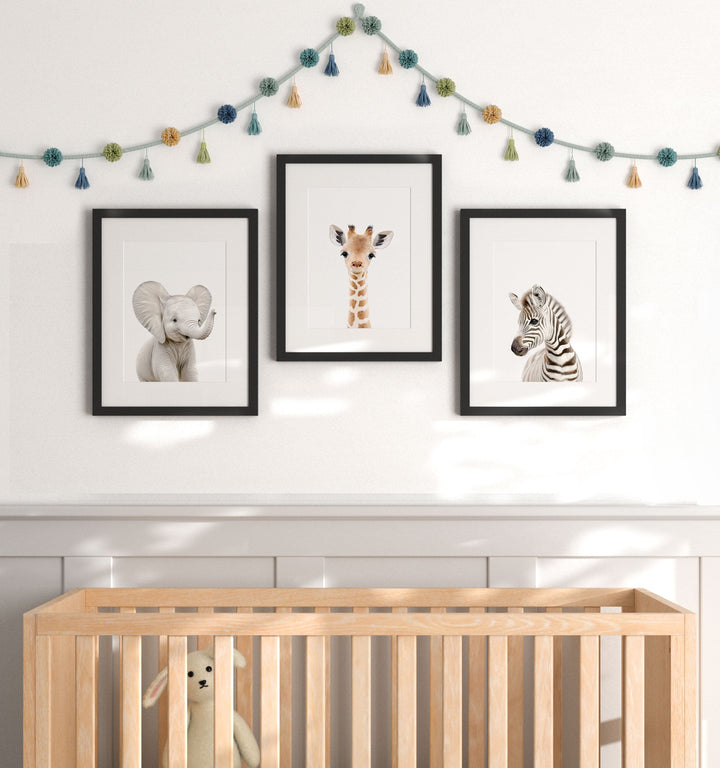 Framed Baby Safari Animals Set of 3 Nursery Art