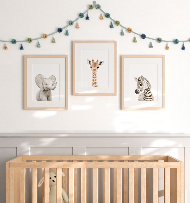 Framed Baby Safari Animals Set of 3 Nursery Art