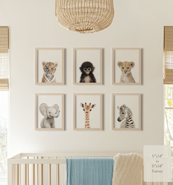 Baby Jungle & Safari Animals Set of 6 Nursery Decor Prints