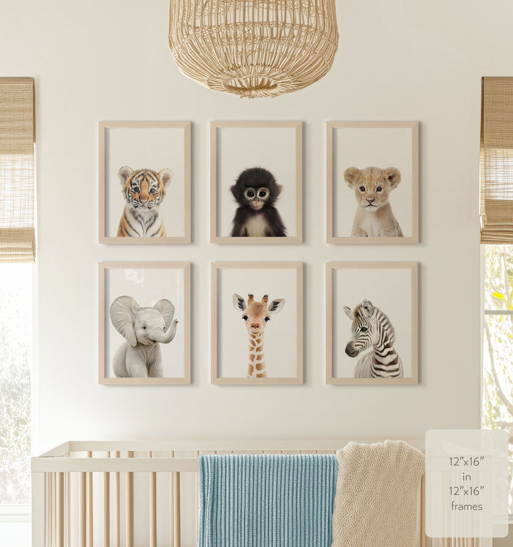 Baby Jungle & Safari Animals Set of 6 Nursery Decor Prints
