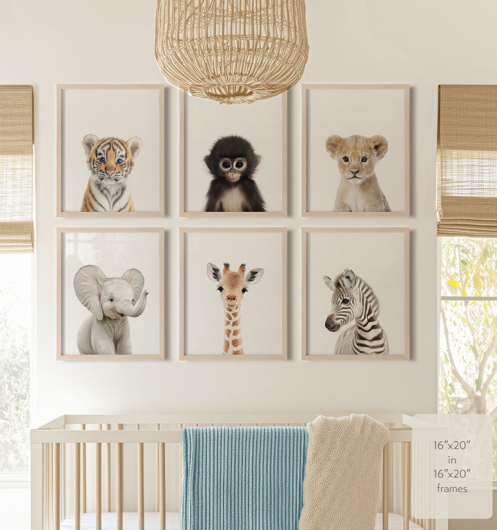 Baby Jungle & Safari Animals Set of 6 Nursery Decor Prints