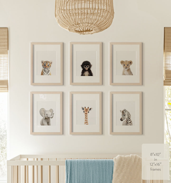 Baby Jungle & Safari Animals Set of 6 Nursery Decor Prints
