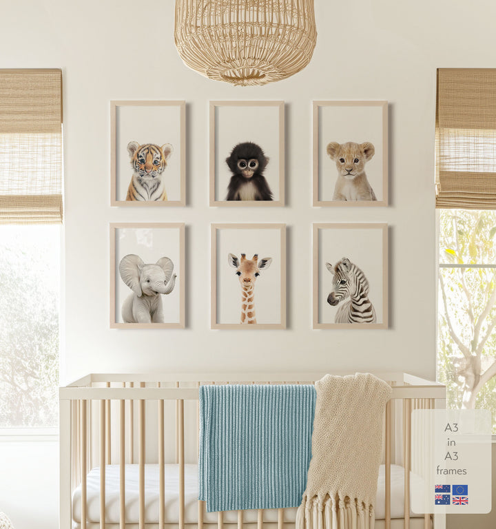 Baby Jungle & Safari Animals Set of 6 Nursery Decor Prints