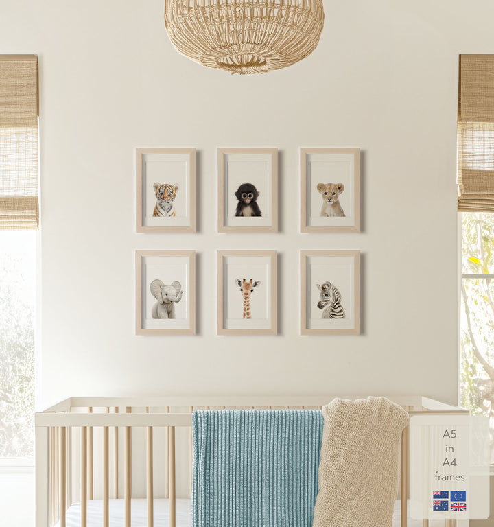 Baby Jungle & Safari Animals Set of 6 Nursery Decor Prints