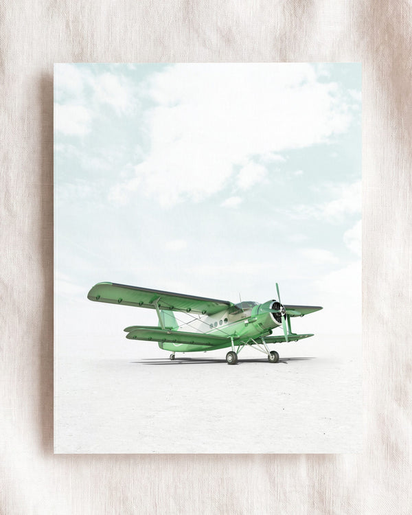 Antonov AN-2 Airplane