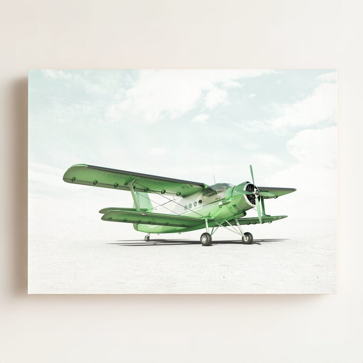 Antonov AN-2 Airplane