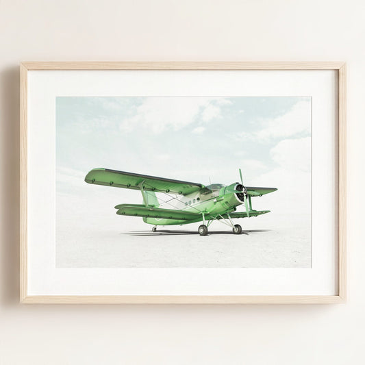 Antonov AN-2 Airplane