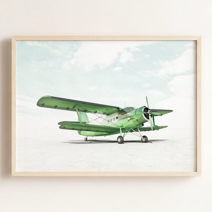 Antonov AN-2 Airplane