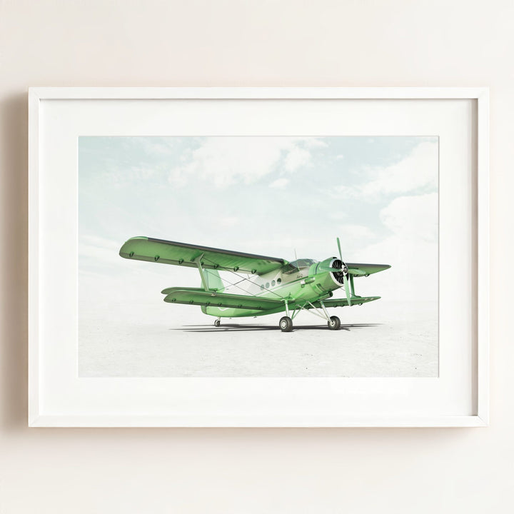 Antonov AN-2 Airplane