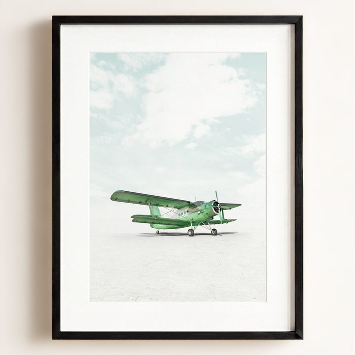 Antonov AN-2 Airplane