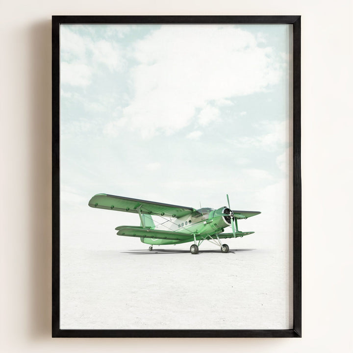 Antonov AN-2 Airplane