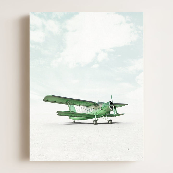 Antonov AN-2 Airplane