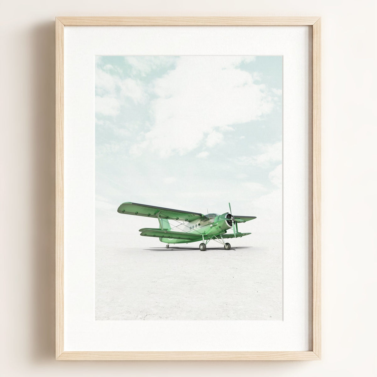 Antonov AN-2 Airplane — Framed