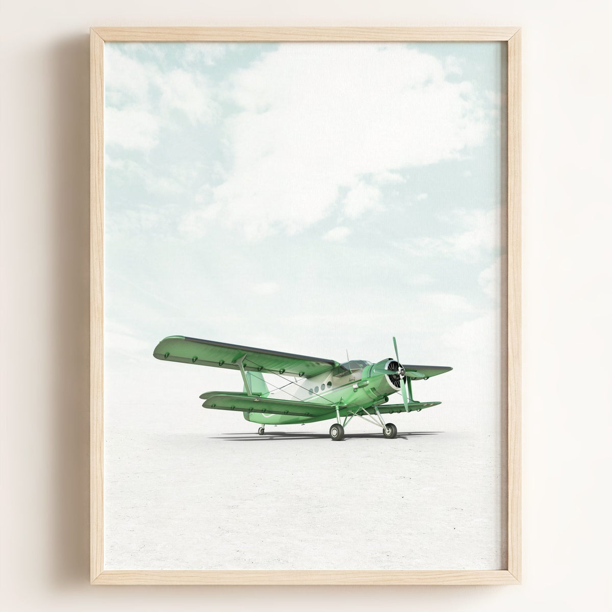 Antonov AN-2 Airplane — Framed