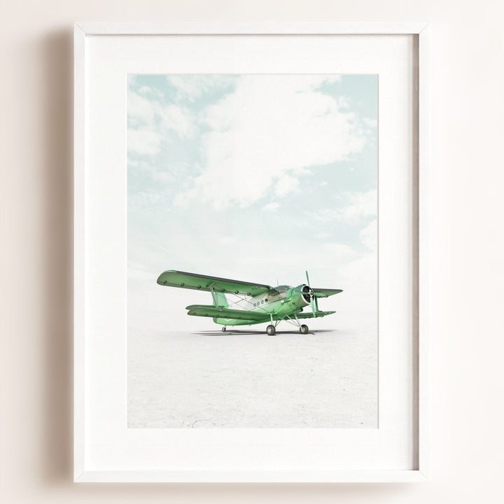 Antonov AN-2 Airplane