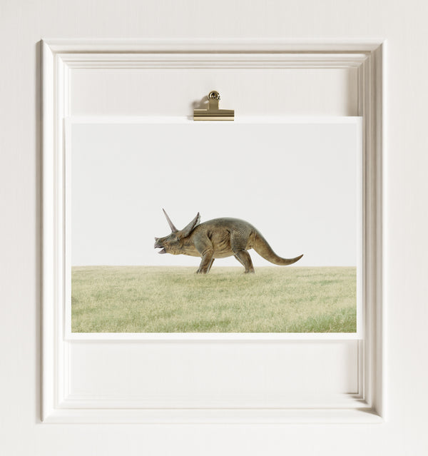 Triceratops Dinosaur - Framed Art