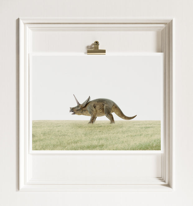 Triceratops Dinosaur