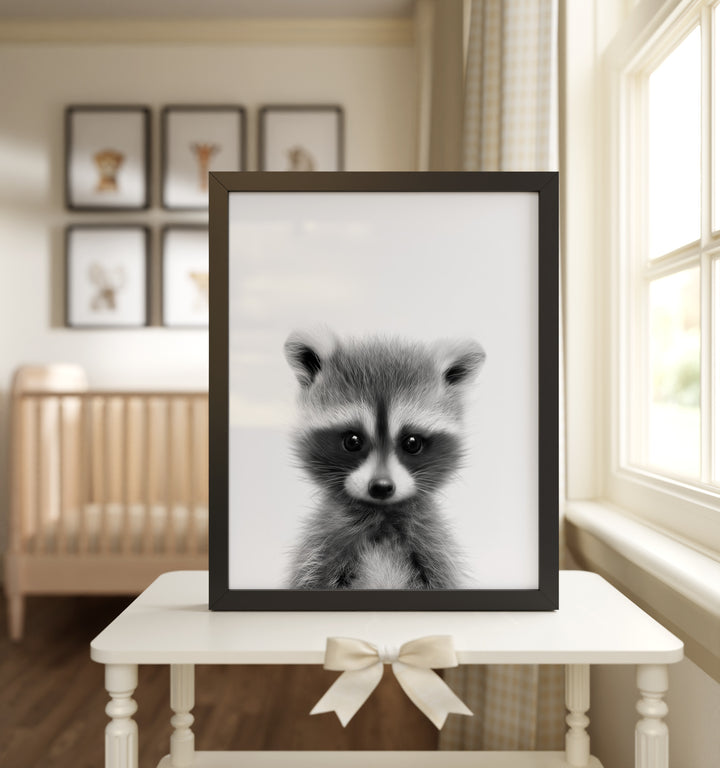 Baby Raccoon Framed Art