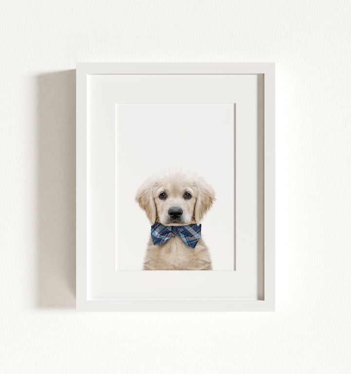 Baby Puppy Golden Retriever Portrait Framed Art