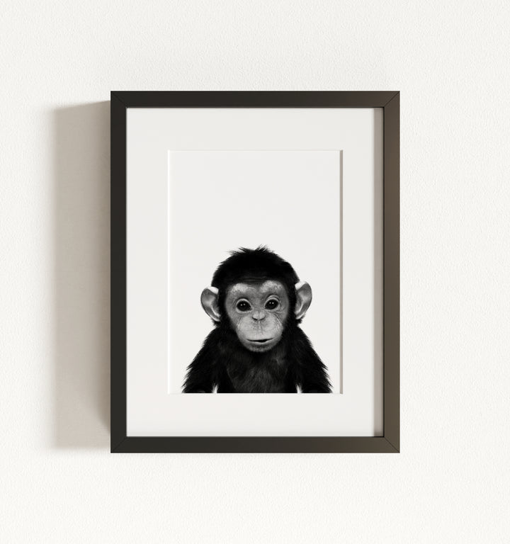 Baby Chimpanzee Framed Art