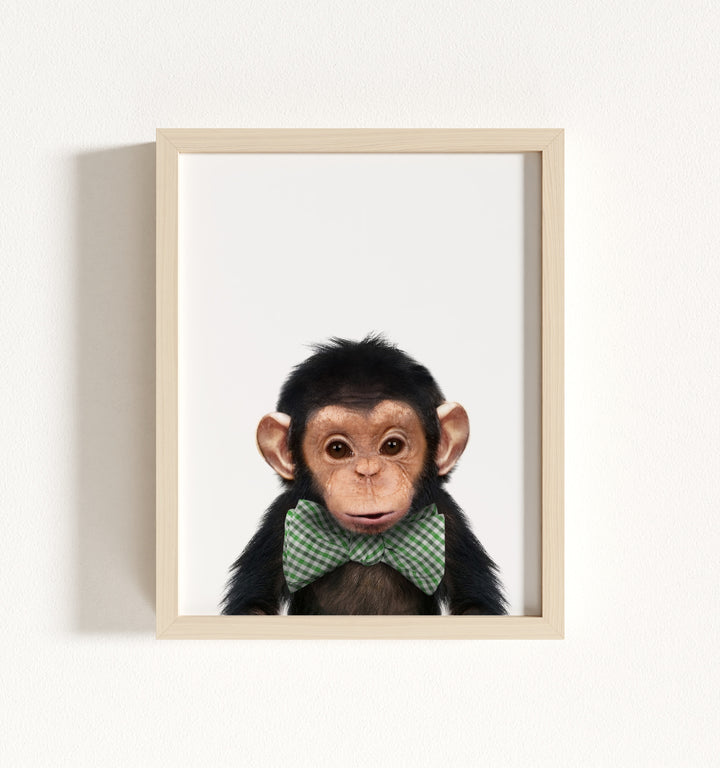 Baby Chimpanzee Framed Art