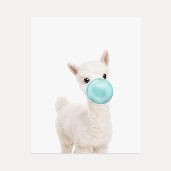 Baby Alpaca