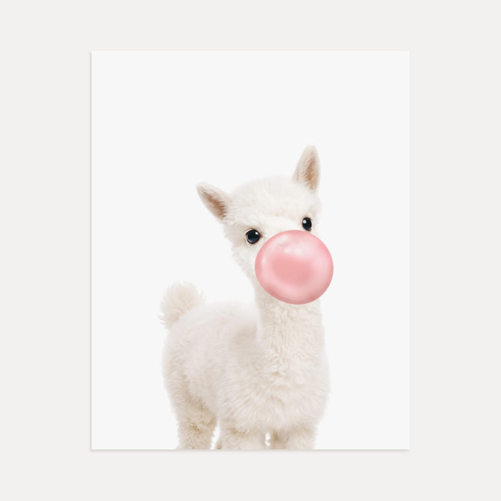 Baby Alpaca