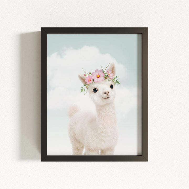 Baby Alpaca