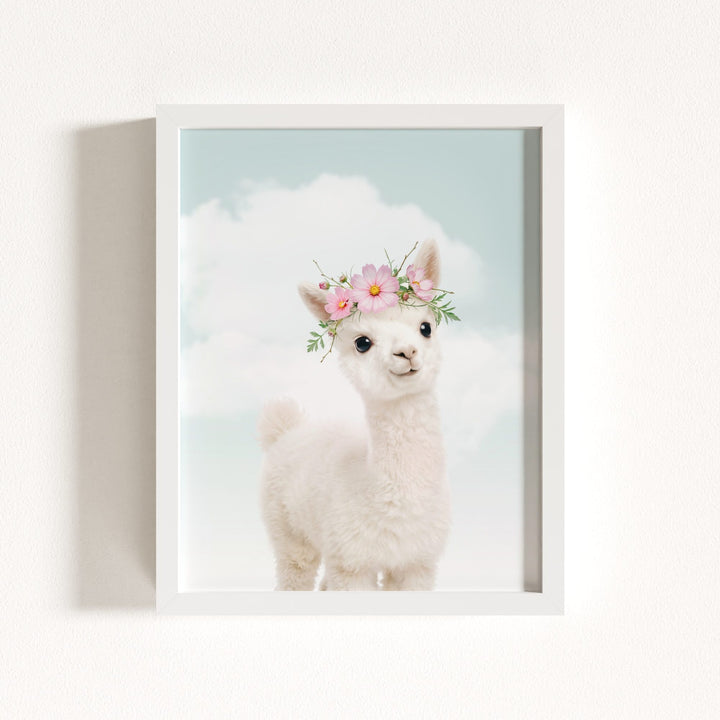 Baby Alpaca