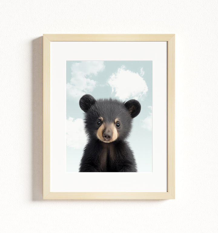 Baby Black Bear