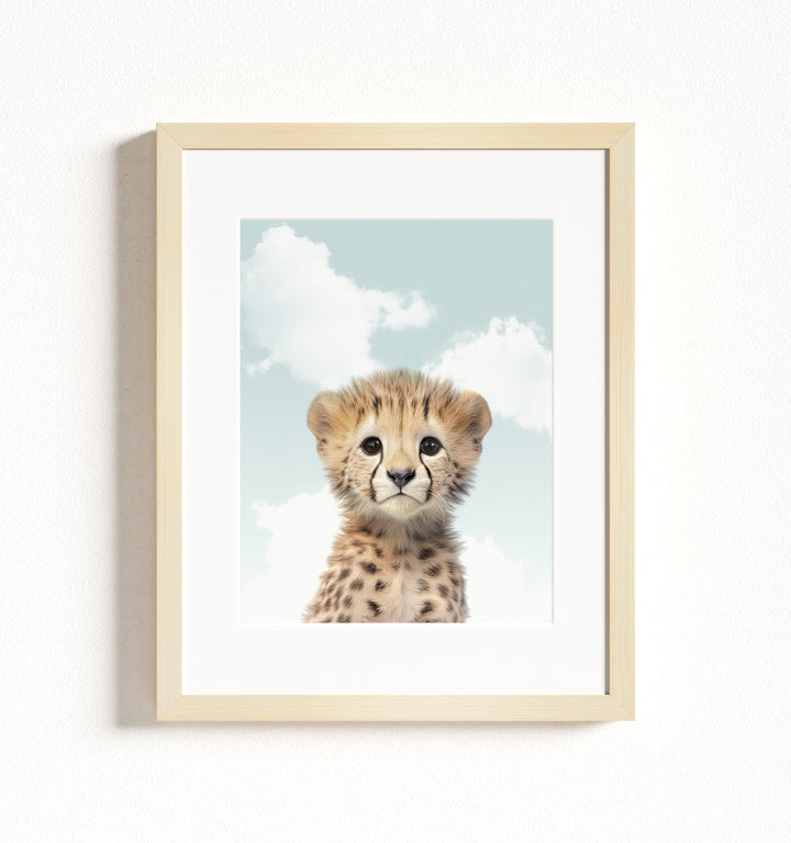 Baby Cheetah