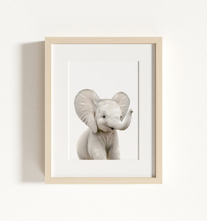 Baby Elephant Framed Art