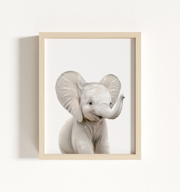 Baby Elephant Framed Art